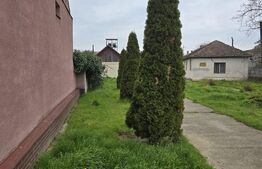 Spațiu industrial de vânzare Livada - 188832SVI | BLITZ Satu Mare | Poza1