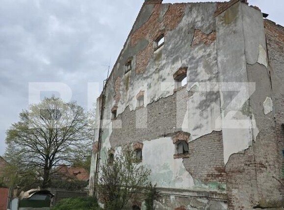 Spațiu industrial de vânzare Botizului - 169194SVI | BLITZ Satu Mare | Poza4