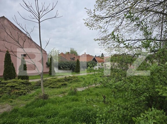 Spațiu industrial de vânzare Botizului - 169194SVI | BLITZ Satu Mare | Poza5