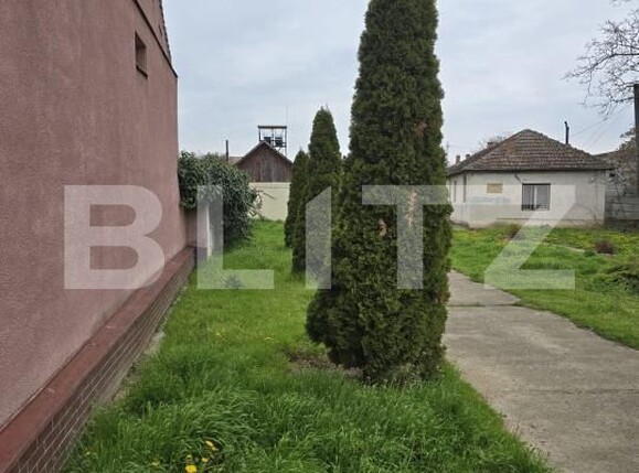 Spațiu industrial de vânzare Botizului - 169194SVI | BLITZ Satu Mare | Poza1