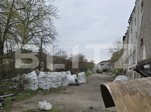 Spațiu industrial de vânzare Botizului - 169194SVI | BLITZ Satu Mare | Poza3