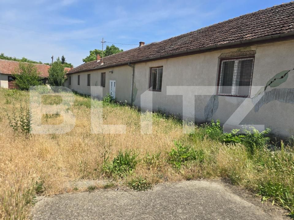 Spațiu industrial de vânzare Botizului - 169194SVI | BLITZ Satu Mare | Poza6