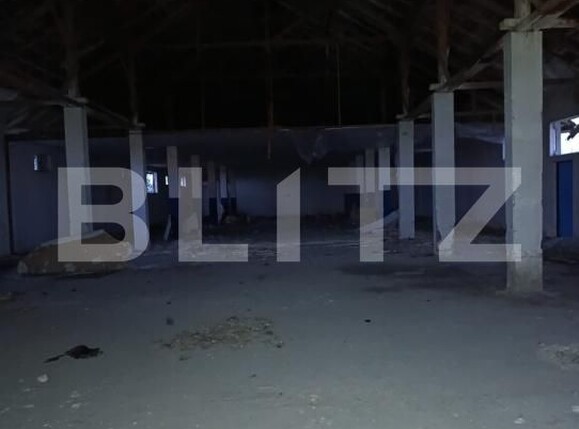 Spațiu industrial de vânzare Sud-Vest - 169262SVI | BLITZ Satu Mare | Poza6