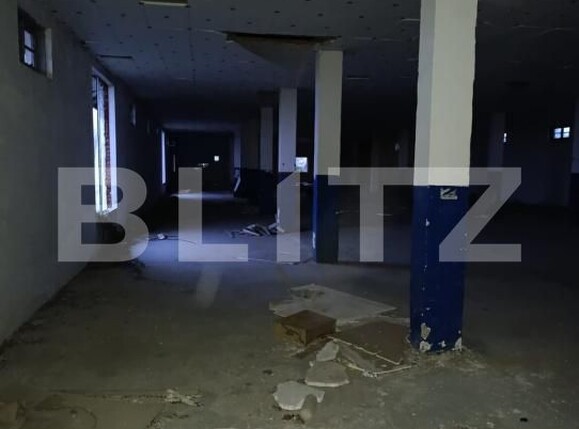 Spațiu industrial de vânzare Sud-Vest - 169262SVI | BLITZ Satu Mare | Poza5