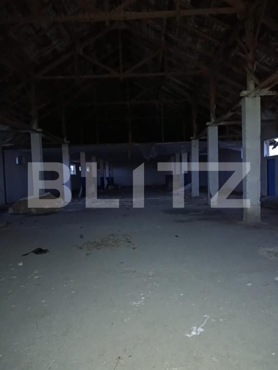 Spațiu industrial de vânzare Sud-Vest - 169262SVI | BLITZ Satu Mare | Poza6