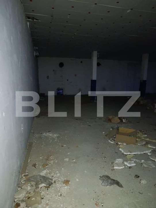 Spațiu industrial de vânzare Sud-Vest - 169262SVI | BLITZ Satu Mare | Poza4