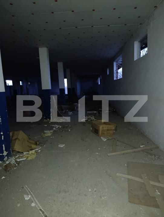 Spațiu industrial de vânzare Sud-Vest - 169262SVI | BLITZ Satu Mare | Poza9