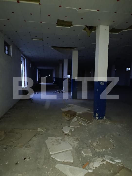Spațiu industrial de vânzare Sud-Vest - 169262SVI | BLITZ Satu Mare | Poza5