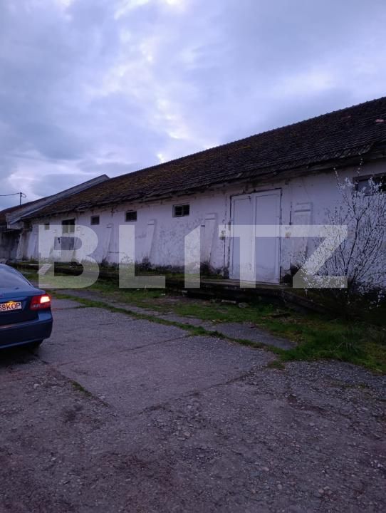 Spațiu industrial de vânzare Sud-Vest - 169262SVI | BLITZ Satu Mare | Poza2