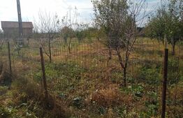 Teren intravilan de vanzare, 1400 mp, zona Bercu Rosu