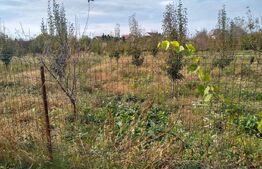 Teren intravilan de vanzare, 1400 mp, zona Bercu Rosu