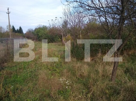Teren de vânzare Bercu Rosu - 169263TV | BLITZ Satu Mare | Poza8