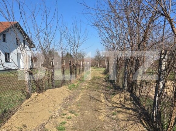 Teren de vânzare Bercu Rosu - 169263TV | BLITZ Satu Mare | Poza9