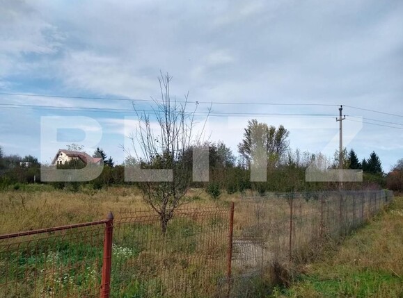 Teren de vânzare Bercu Rosu - 169263TV | BLITZ Satu Mare | Poza2