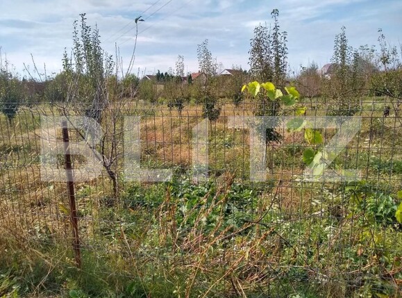 Teren de vânzare Bercu Rosu - 169263TV | BLITZ Satu Mare | Poza3