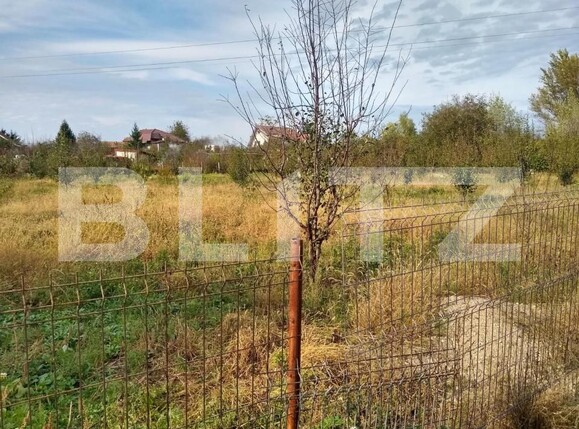 Teren de vânzare Bercu Rosu - 169263TV | BLITZ Satu Mare | Poza7