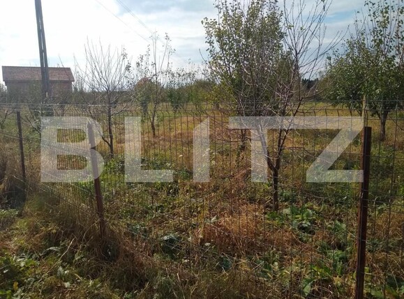 Teren de vânzare Bercu Rosu - 169263TV | BLITZ Satu Mare | Poza6