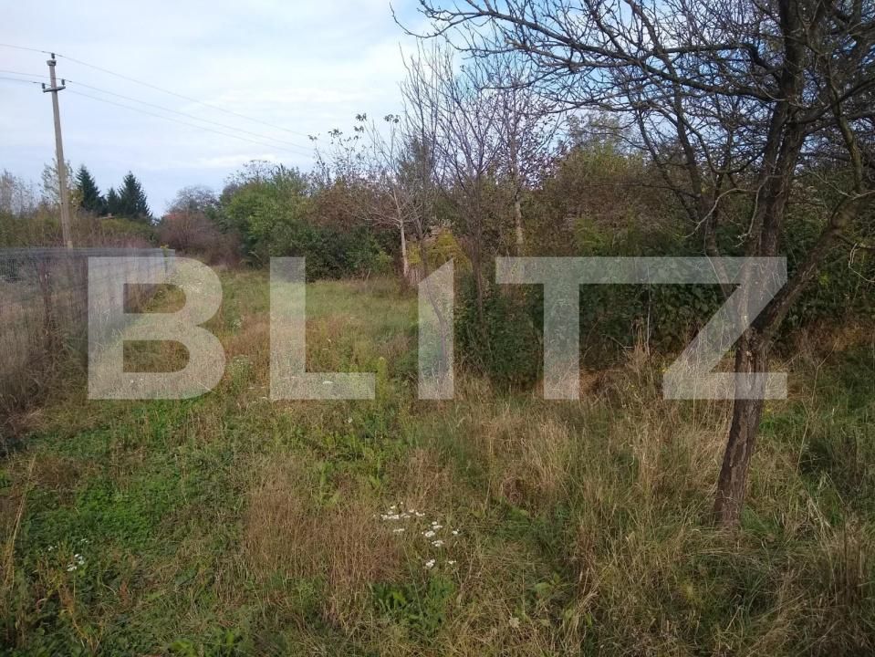 Teren de vânzare Bercu Rosu - 169263TV | BLITZ Satu Mare | Poza8