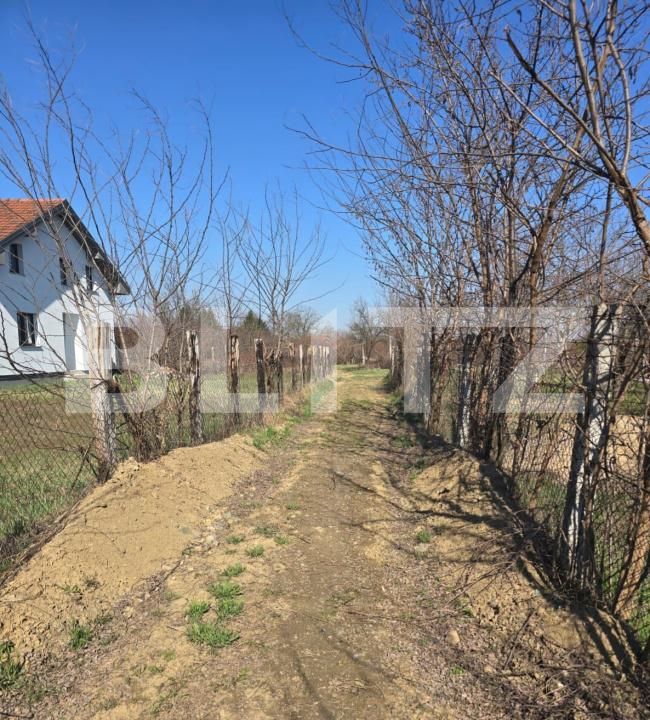 Teren de vânzare Bercu Rosu - 169263TV | BLITZ Satu Mare | Poza9