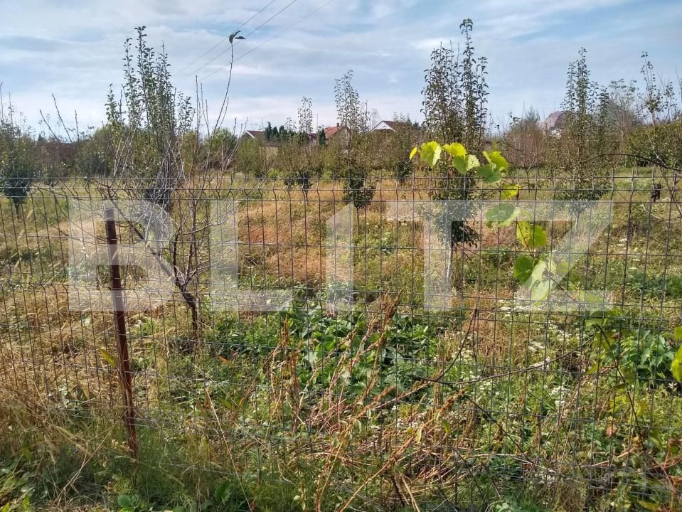 Teren de vânzare Bercu Rosu - 169263TV | BLITZ Satu Mare | Poza3