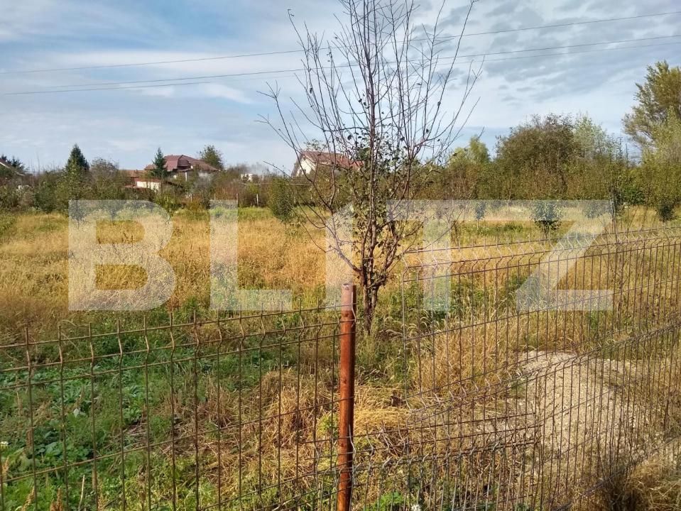 Teren de vânzare Bercu Rosu - 169263TV | BLITZ Satu Mare | Poza7