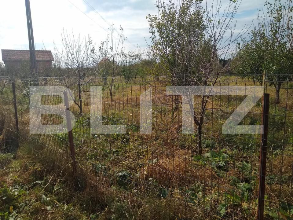 Teren de vânzare Bercu Rosu - 169263TV | BLITZ Satu Mare | Poza6