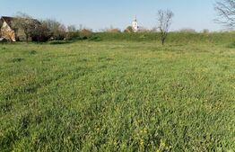  Teren Intravilan, 2500 mp, zona Tatarasti