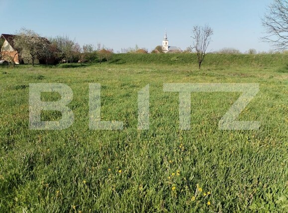 Teren de vânzare Exterior Est - 169485TV | BLITZ Satu Mare | Poza1
