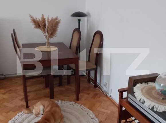 Apartament de vânzare 3 camere Micro 17 - 169493AV | BLITZ Satu Mare | Poza3