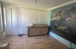 Doua case de vanzare cu 3 camere 120mp, intr-o curte de 536mp teren, zona 14 MAI