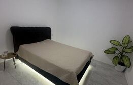 Apartament de vanzare, cu o camera, 40mp, zona Semicentrală 