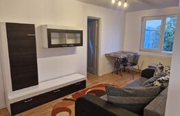 Apartament de inchiriat cu 3 camere, 44 mp, zona Micro 14
