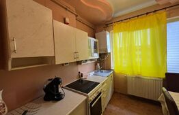 Apartament de vanzare, cu 2 camere, 48 mp, zona Bulevardul Traian