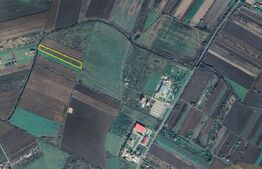 Teren de vânzare Exterior Sud - 175371TV | BLITZ Satu Mare | Poza5