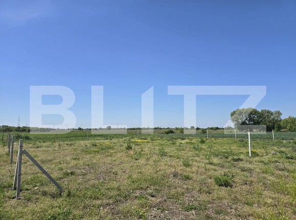Teren de vânzare Sud - 170174TV | BLITZ Satu Mare | Poza3