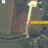 Teren de vânzare Sud - 170174TV - Poza 1 din 4 | BLITZ Satu Mare | Poza4