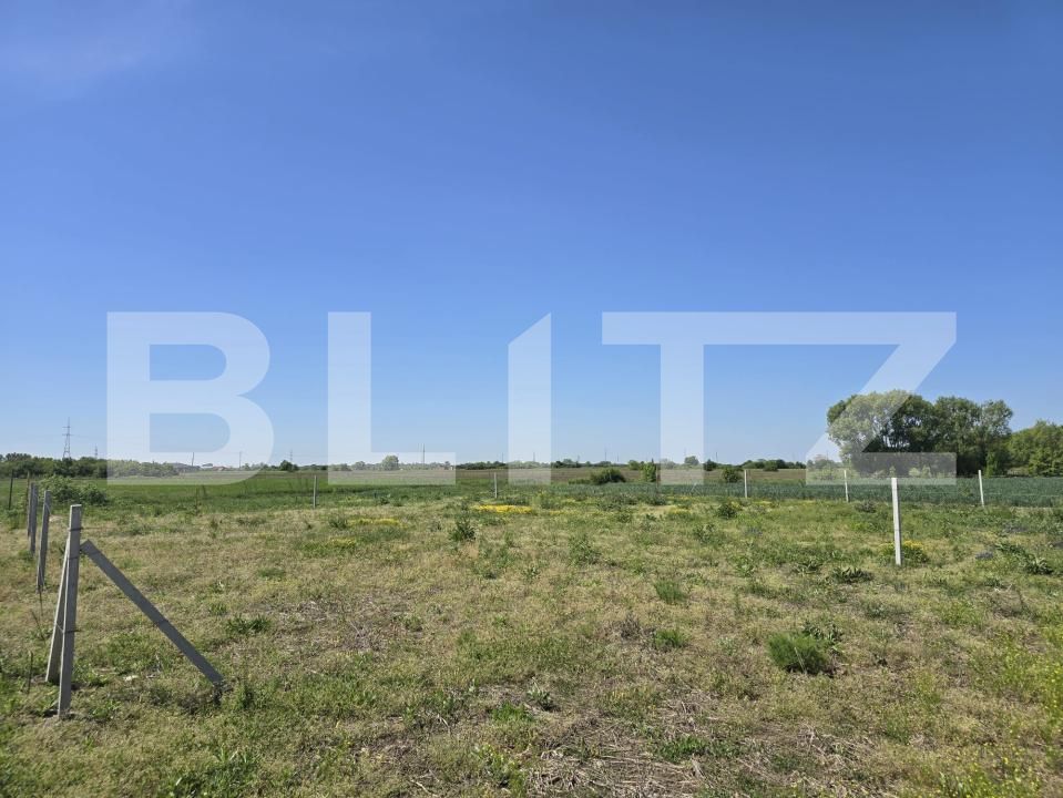 Teren de vânzare Sud - 170174TV | BLITZ Satu Mare | Poza3