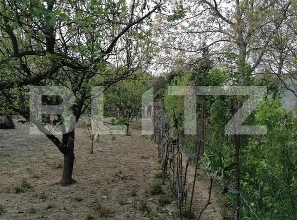 Casa de vânzare 6 camere 14 Mai - 170206CV | BLITZ Satu Mare | Poza4