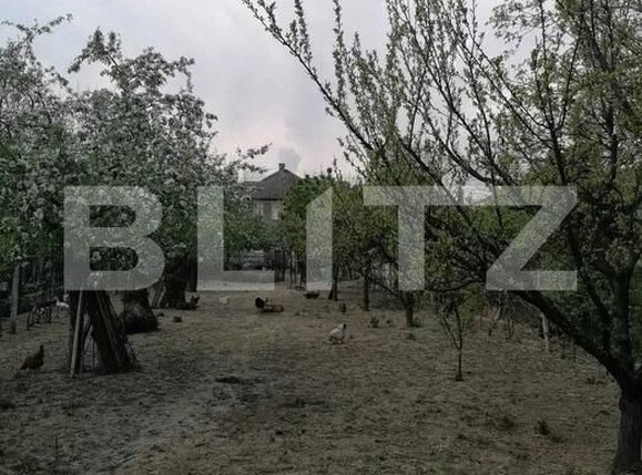 Casa de vânzare 6 camere 14 Mai - 170206CV | BLITZ Satu Mare | Poza5