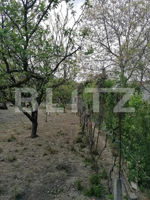 Casa de vânzare 6 camere 14 Mai - 170206CV | BLITZ Satu Mare | Poza4