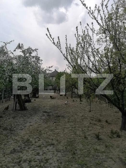 Casa de vânzare 6 camere 14 Mai - 170206CV | BLITZ Satu Mare | Poza5