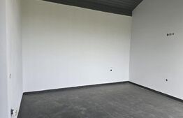 Casa 2 camere, 120 mp -7.8 ari teren . Lazuri