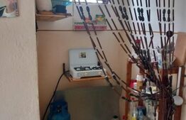 Teren, 600 mp, zona Bercu Rosu 