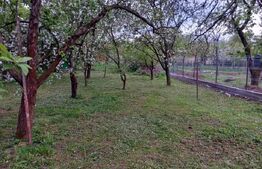 Teren, 600 mp, zona Bercu Rosu 