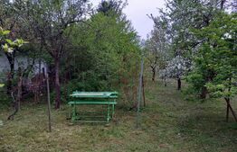 Teren, 600 mp, zona Bercu Rosu 