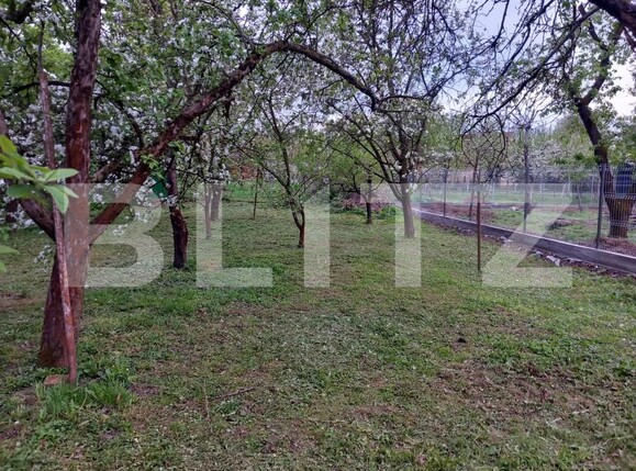 Teren de vânzare Bercu Rosu - 170397TV | BLITZ Satu Mare | Poza1
