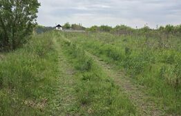 Teren extravilan, de vanzare, 4300 mp, zona Amati