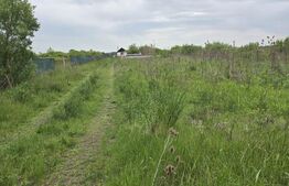 Teren extravilan, de vanzare, 4300 mp, zona Amati