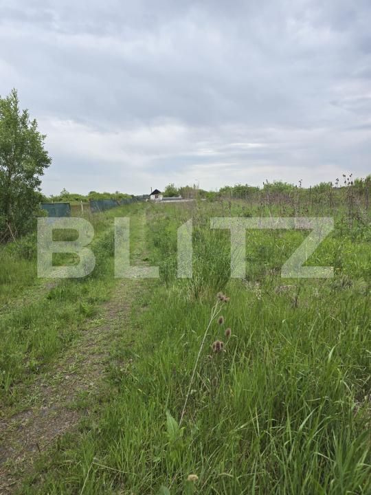 Teren de vânzare Sud-Est - 170506TV | BLITZ Satu Mare | Poza4