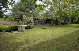  2 case, de vanzare, cu cate 2 camere, 110 mp, zona Viile Satu MAre